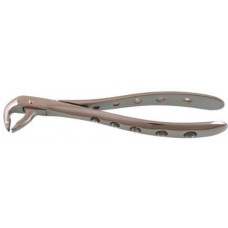 Surgical Forceps E36
